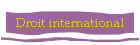 Droit international